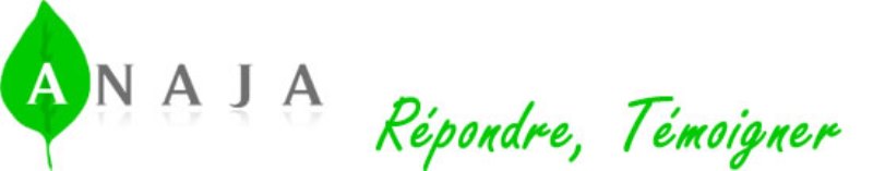 Projet 8% 2013: Restaurant Ethnic